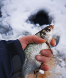 Рыбалка — фото 3