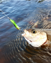 Рыбалка — фото 1