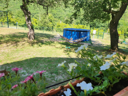 Бассейн — фото 1