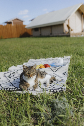 Искатели — фото