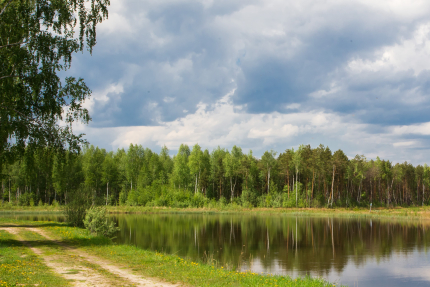 Переханово — фото