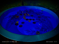 Горячий чан — фото 2