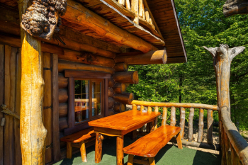 Дом-Изба — фото 2