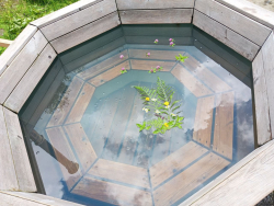 Баня — фото 5