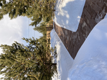 Мотылек  — фото 30