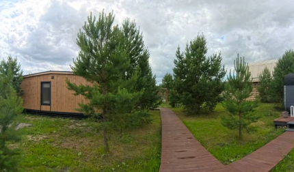 Мотылек  — фото