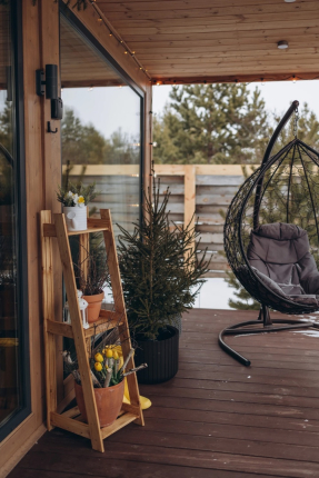 Мотылек  — фото