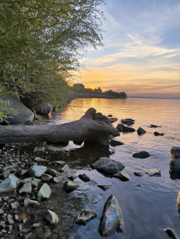 Апартаменты с террасой 2 — фото 10