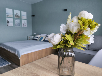 Апартаменты с террасой 2 — фото 1