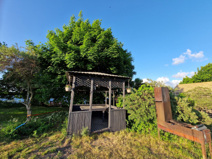 Кусто — фото