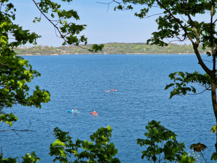 Кусто — фото