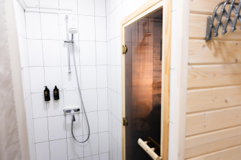 Комфорт с сауной (первая береговая линия) — фото 8
