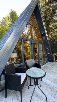 Счастливый лось — фото