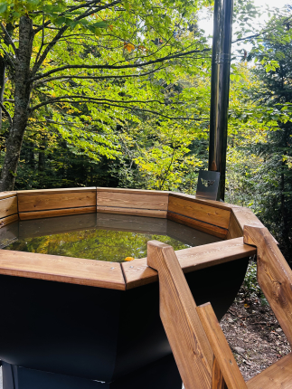 Счастливый лось — фото