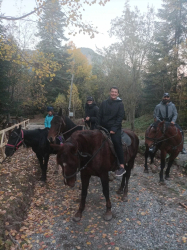 Конные прогулки — фото 1