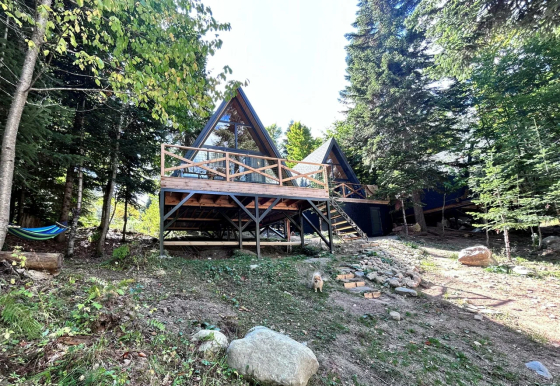 Счастливый лось