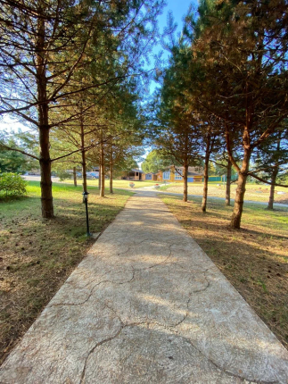 Белая Морошка — фото