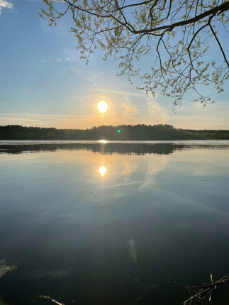 Белая Морошка — фото