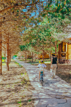 Коттедж — фото 13