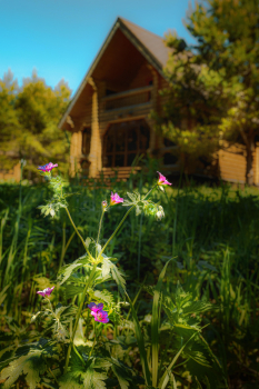 Коттедж — фото 14