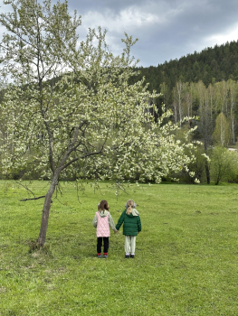 Барнхаус 1 — фото 6