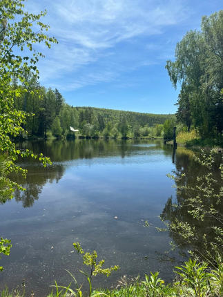Барн 1 — фото