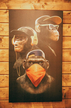 Стандарт — фото 9