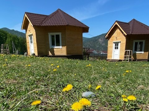 Pt﻿ich&C﻿o фото 3