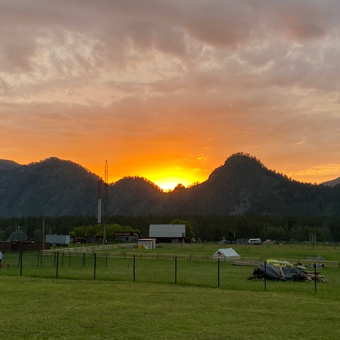 Pt﻿ich&C﻿o фото 4