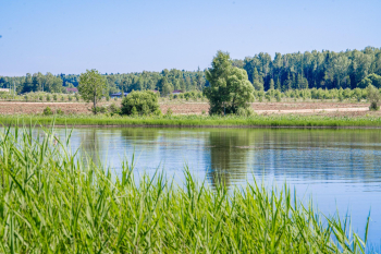 Дом Бохо — фото 60