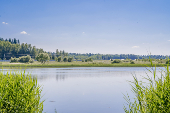 Дом Бохо — фото 61