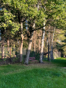 Дом Бохо — фото 59