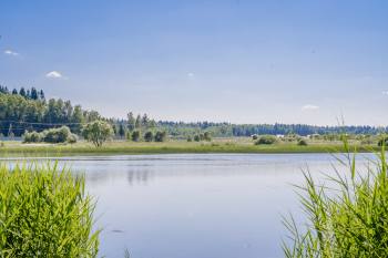 Дом Green House — фото 40