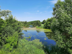 Водоем — фото 1