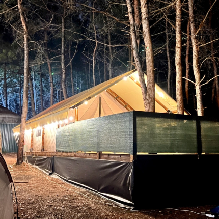 Под соснами — фото