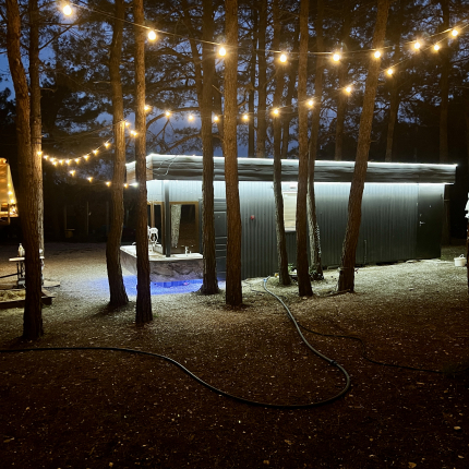 Под соснами — фото