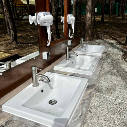 Под соснами — фото