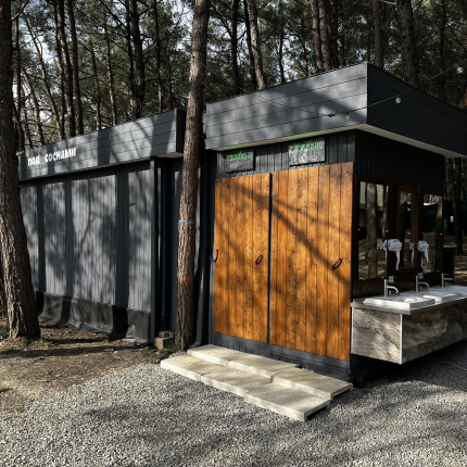 Под соснами — фото