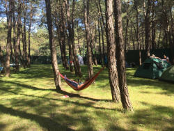 Гамаки и качели на общей территории — фото 1