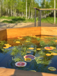 Горячий чан — фото 2