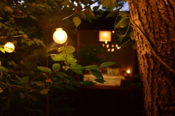 Дом Небо.Звёзды — фото 16