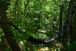 Гамаки и качели на общей территории — фото 1