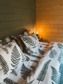 Дом Небо.Звёзды — фото 1