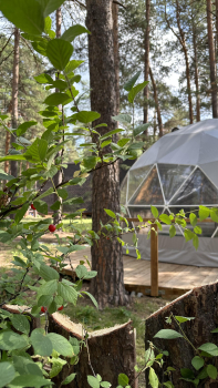 СФЕРА 1 — фото 1