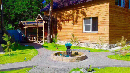 "Magicwood" — фото