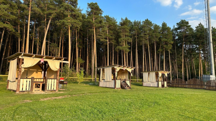 "Magicwood" — фото