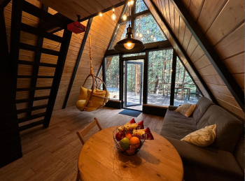 Стандарт — фото 2