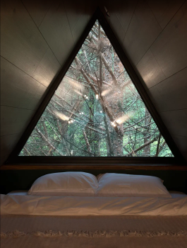 Хвойный — фото 3