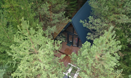 Хвойный — фото