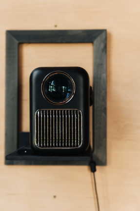 Мята — фото